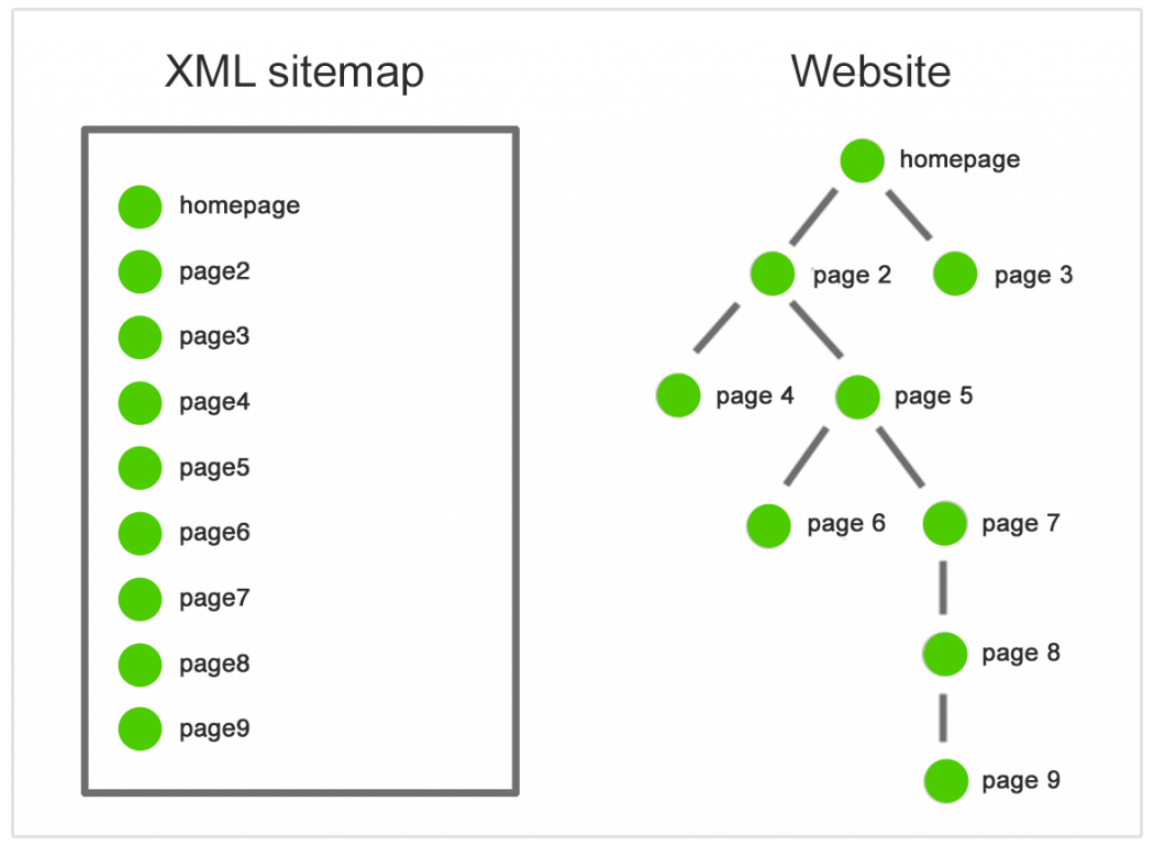 struttura del sito web